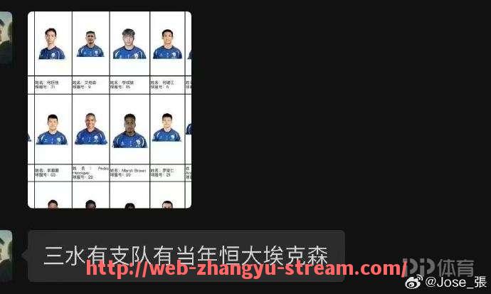 章鱼直播-0809赛季意甲球队的表现与总结