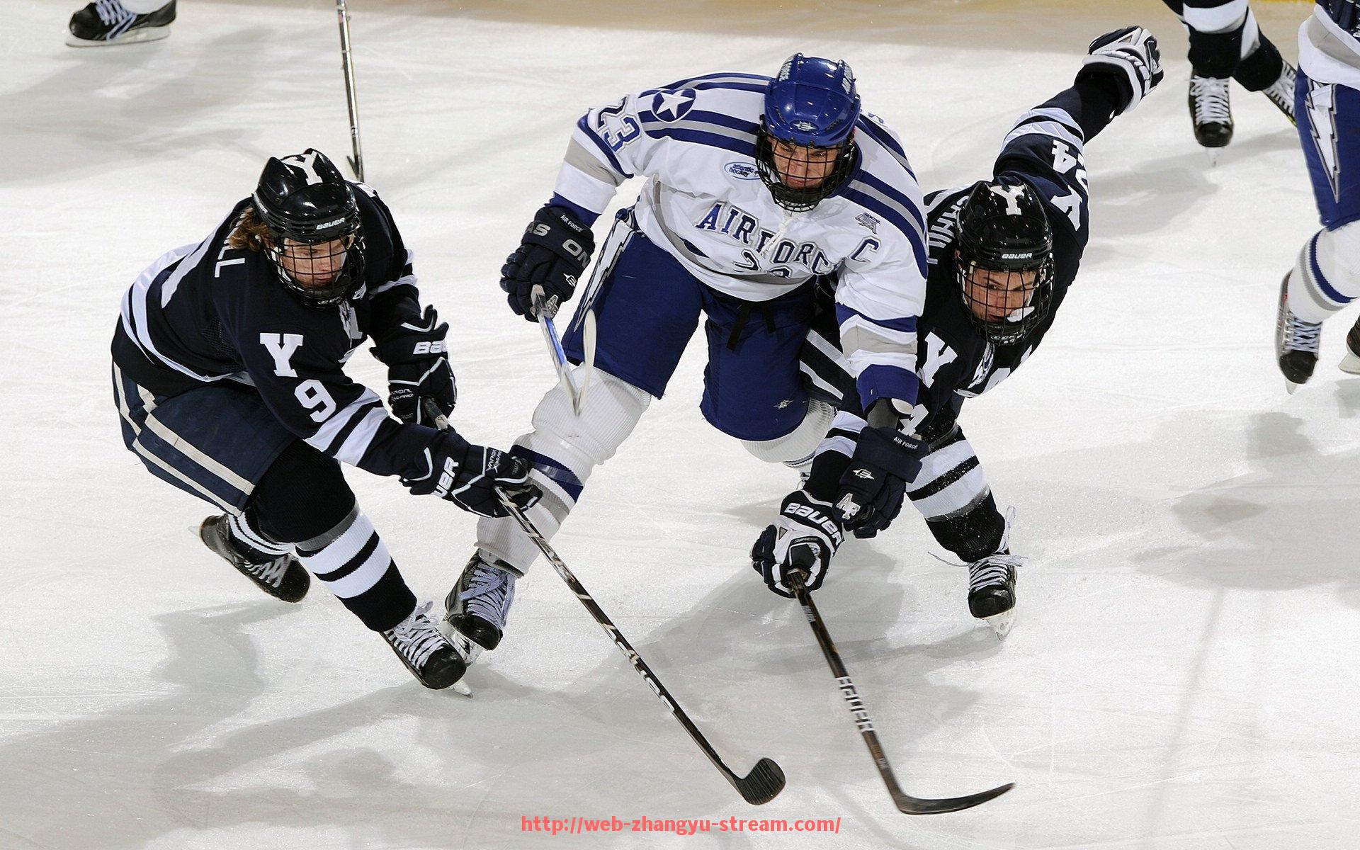 章鱼直播-火箭队与德怀特·霍华德的合作回顾：巅峰与遗憾并存