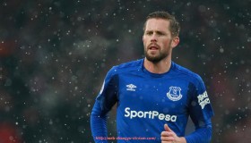 章鱼直播-意甲各球队代表的动物象征及其文化意义详解